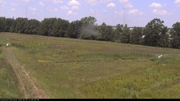 Cell 2_24-06-24_12-48-27-36