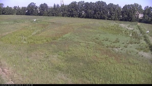 Cell 3_24-06-24_11-08-27-59