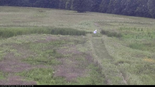 Cell 1 to 2_24-07-02_17-18-38-33