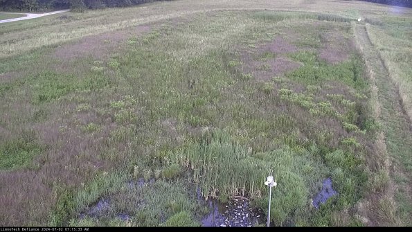 Cell 1_24-07-02_07-15-34-34