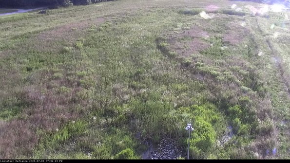 Cell 1_24-07-02_19-32-24-33