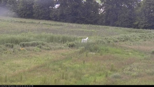 Cell 2 to 3_24-07-02_16-45-35-44