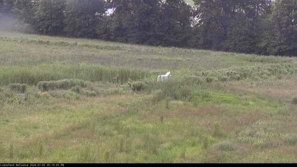 Cell 2 to 3_24-07-02_17-19-04-43