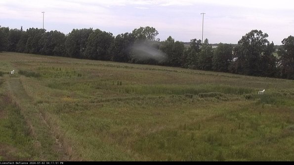 Cell 2_24-07-02_16-11-52-38