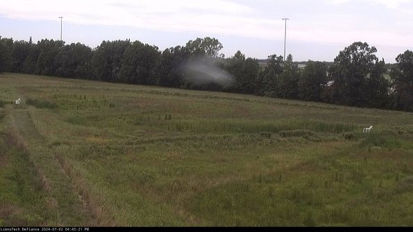 Cell 2_24-07-02_16-45-22-36