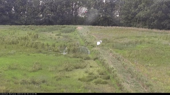 Cell 3 to 4_24-07-02_16-12-34-32