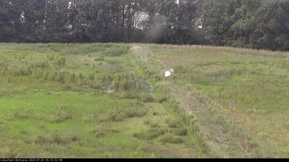 Cell 3 to 4_24-07-02_17-19-33-32