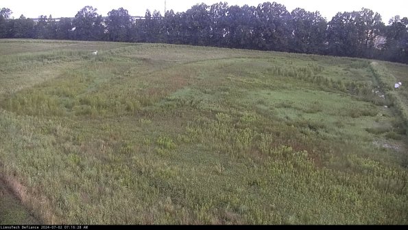 Cell 3_24-07-02_07-16-29-32