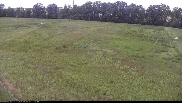 Cell 3_24-07-02_16-12-20-34