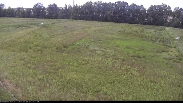 Cell 3_24-07-02_17-19-19-34