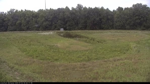 Cell 4_24-07-02_16-46-18-35