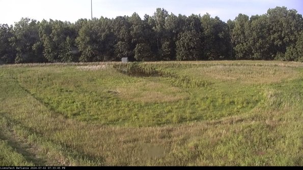 Cell 4_24-07-02_19-33-46-31