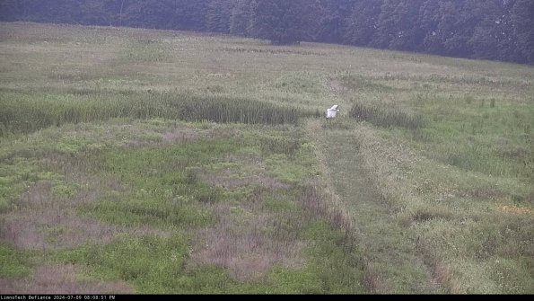 Cell 1 to 2_24-07-09_20-08-52-35