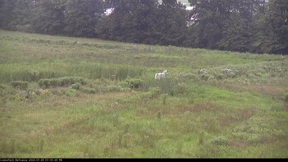 Cell 2 to 3_24-07-09_19-35-50-39