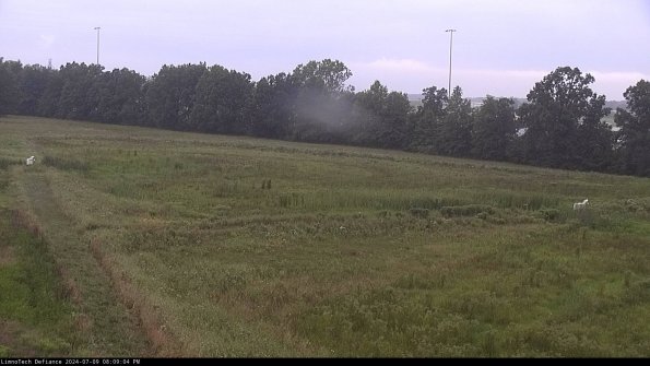 Cell 2_24-07-09_20-09-05-36