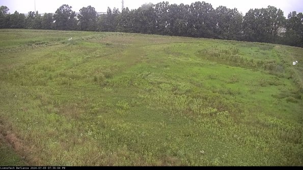 Cell 3_24-07-09_19-36-04-60