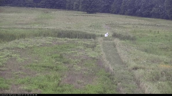 Cell 1 to 2_24-07-10_08-25-47-33