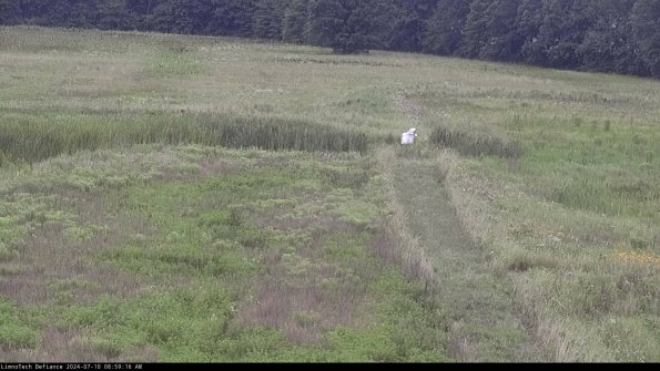 Cell 1 to 2_24-07-10_08-59-17-35