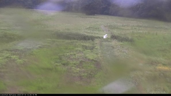 Cell 1 to 2_24-07-10_12-20-20-34