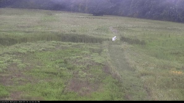 Cell 1 to 2_24-07-10_12-53-53-34