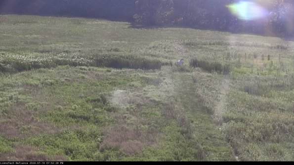 Cell 1 to 2_24-07-10_19-02-29-31