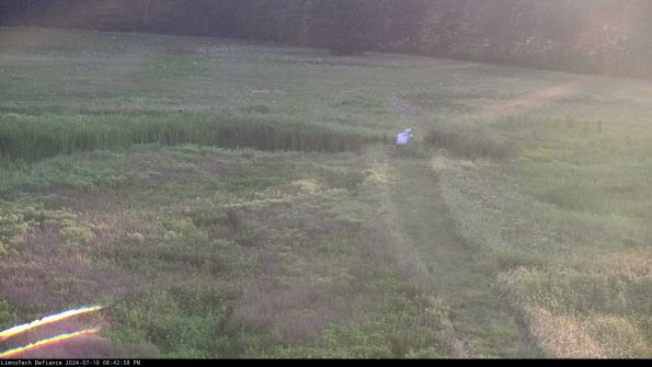 Cell 1 to 2_24-07-10_20-42-59-34