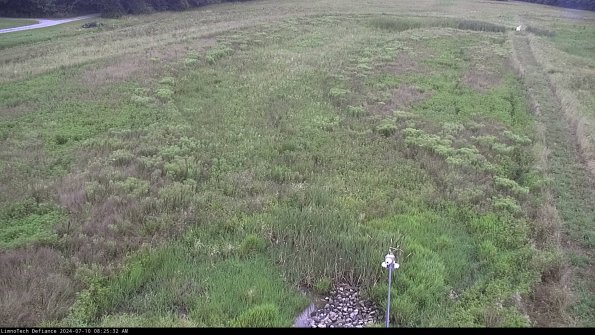 Cell 1_24-07-10_08-25-33-35