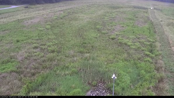 Cell 1_24-07-10_10-39-33-33