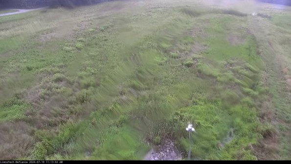 Cell 1_24-07-10_11-13-03-32