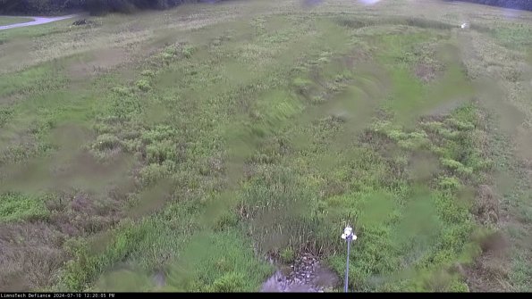 Cell 1_24-07-10_12-20-06-33