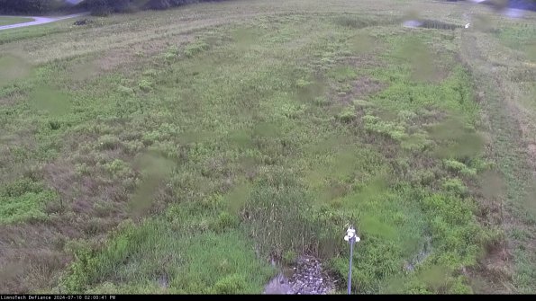 Cell 1_24-07-10_14-00-42-33