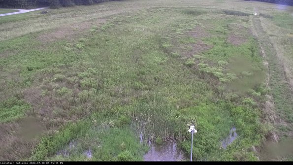 Cell 1_24-07-10_15-55-14-34