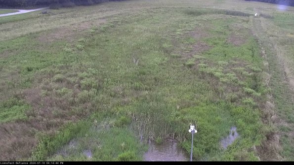 Cell 1_24-07-10_16-14-45-32