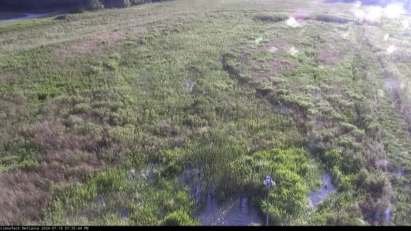 Cell 1_24-07-10_19-35-45-31