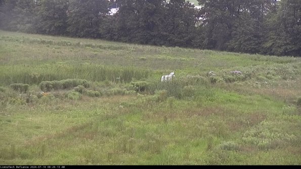 Cell 2 to 3_24-07-10_08-26-13-52