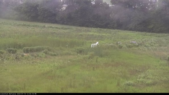 Cell 2 to 3_24-07-10_12-54-19-36