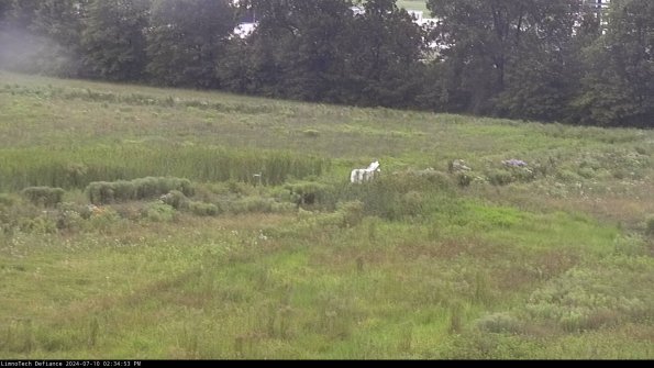 Cell 2 to 3_24-07-10_14-34-53-53