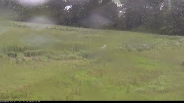 Cell 2 to 3_24-07-10_15-41-55-41