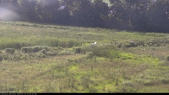 Cell 2 to 3_24-07-10_19-02-55-53