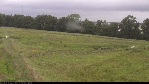 Cell 2_24-07-10_08-59-30-36