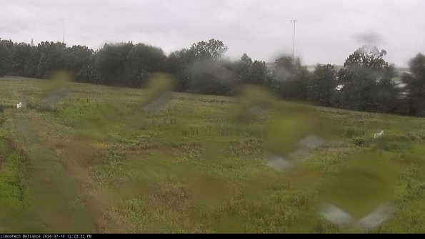 Cell 2_24-07-10_12-20-33-36