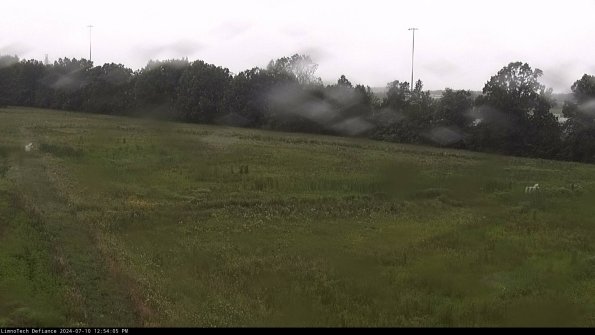 Cell 2_24-07-10_12-54-06-35