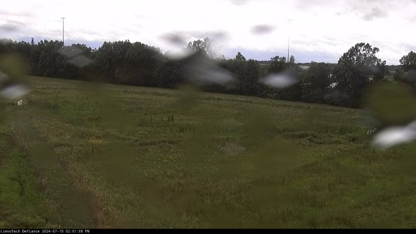 Cell 2_24-07-10_14-01-09-36