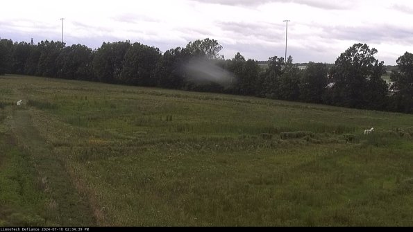 Cell 2_24-07-10_14-34-40-38