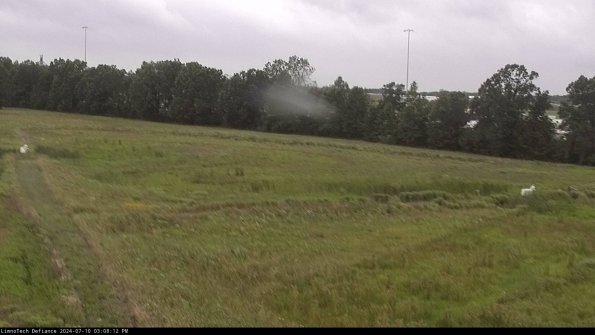 Cell 2_24-07-10_15-08-13-34