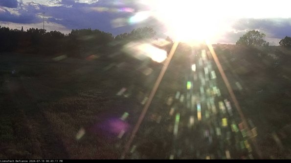 Cell 2_24-07-10_20-43-12-35