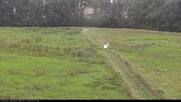 Cell 3 to 4_24-07-10_08-26-42-35