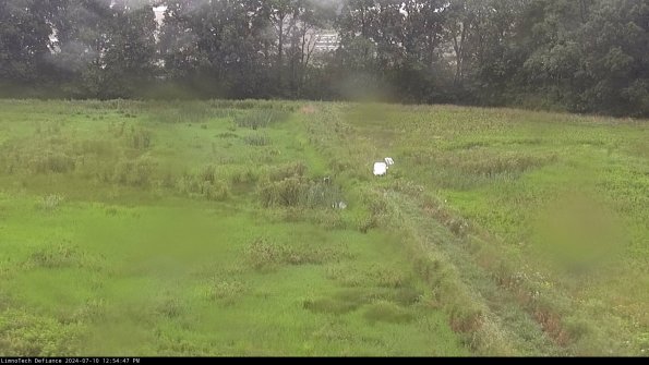 Cell 3 to 4_24-07-10_12-54-48-32