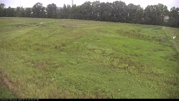 Cell 3_24-07-10_07-52-58-32