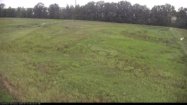 Cell 3_24-07-10_08-26-28-34